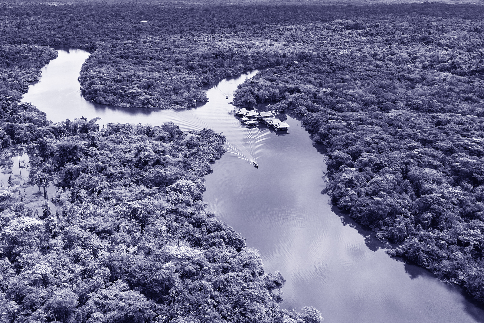 COP30: What to Expect