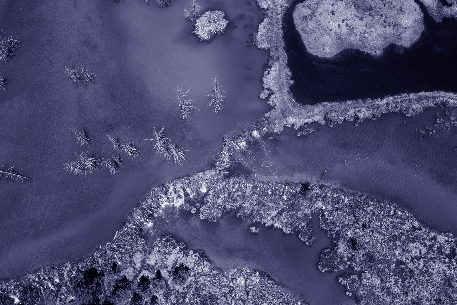 Climate in Conflict: Resilience, Security & Global Cooperation